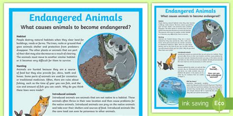Animal Causes .